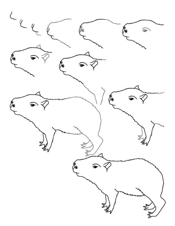 Idées Capybaras (4) dessin