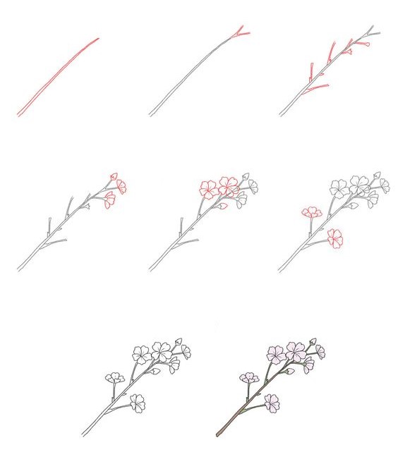 Idées de fleurs de cerisier (10) dessin