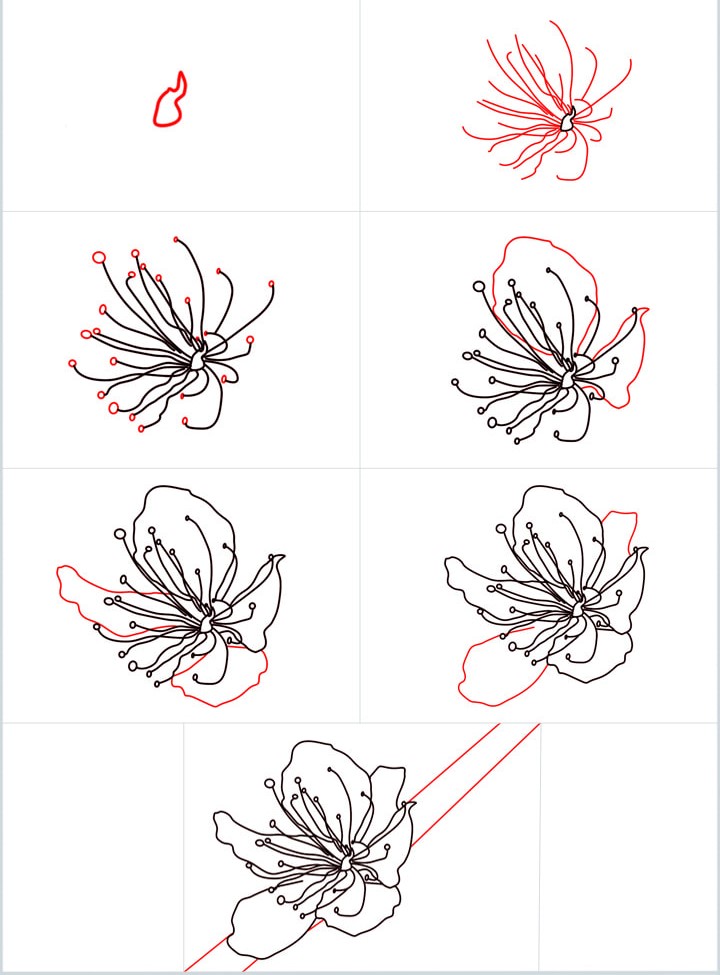 Idées de fleurs de cerisier (14) dessin