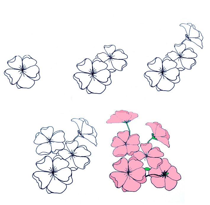 Idées de fleurs de cerisier (18) dessin