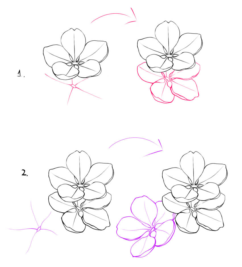 30+ Facile et Beau Idées de dessin Fleur de cerisier - Comment dessiner ...