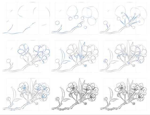 Idées de fleurs de cerisier (26) dessin