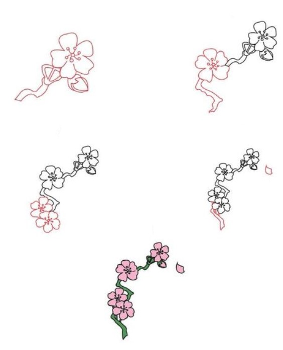 Idées de fleurs de cerisier (6) dessin