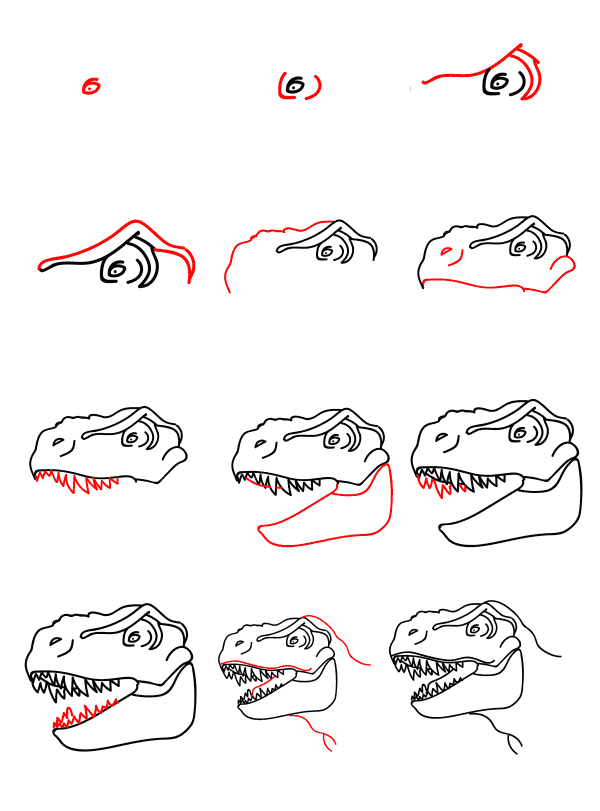 Tête de tyrannosaure dessin