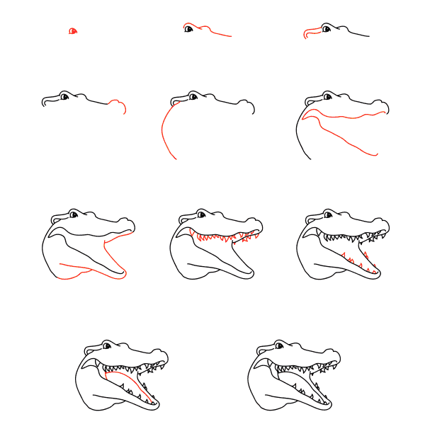 Visage d'alligator dessin