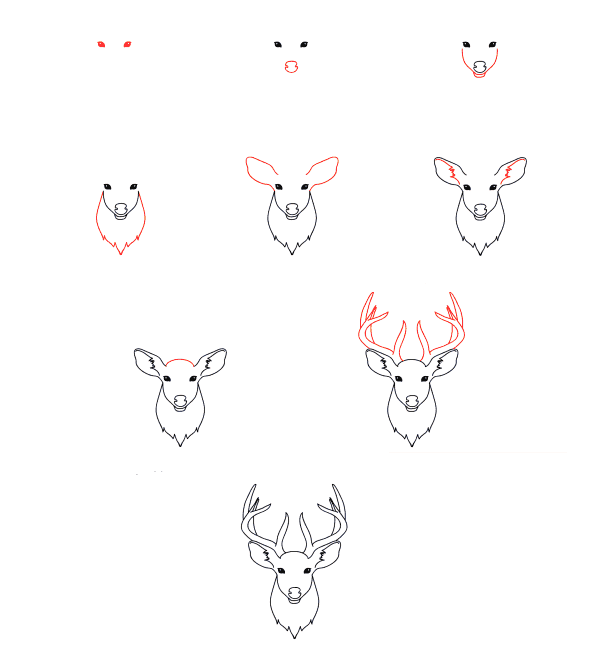 Comment dessiner Visage de cerf - Dessin Facile