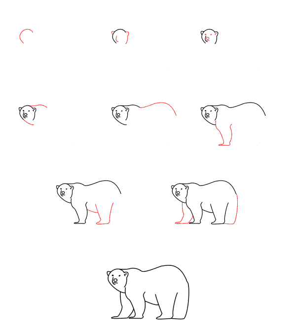 Dessiner un ours polaire simple (2) dessin