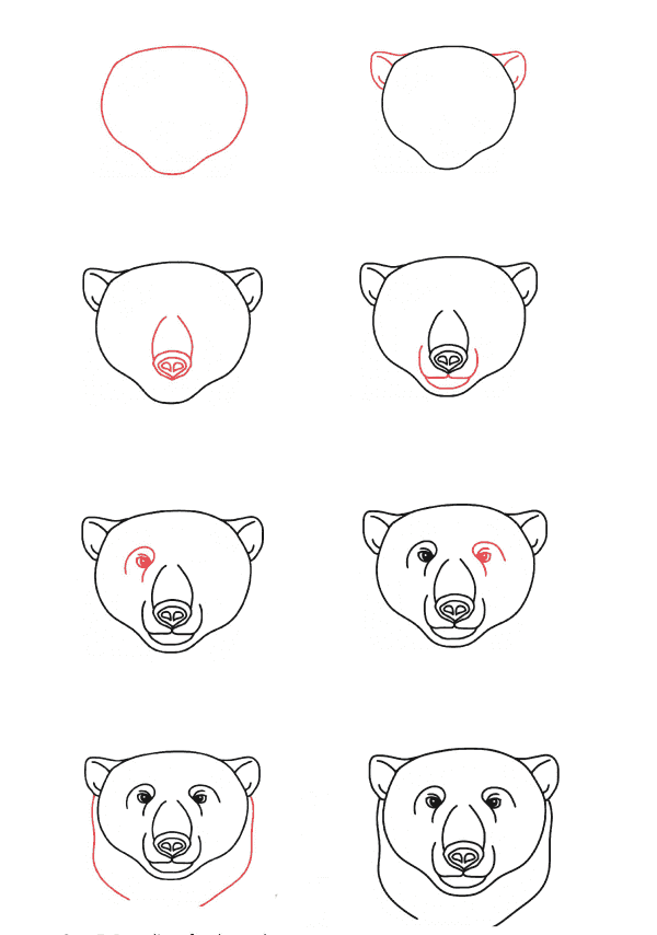 tête d'ours polaire dessin