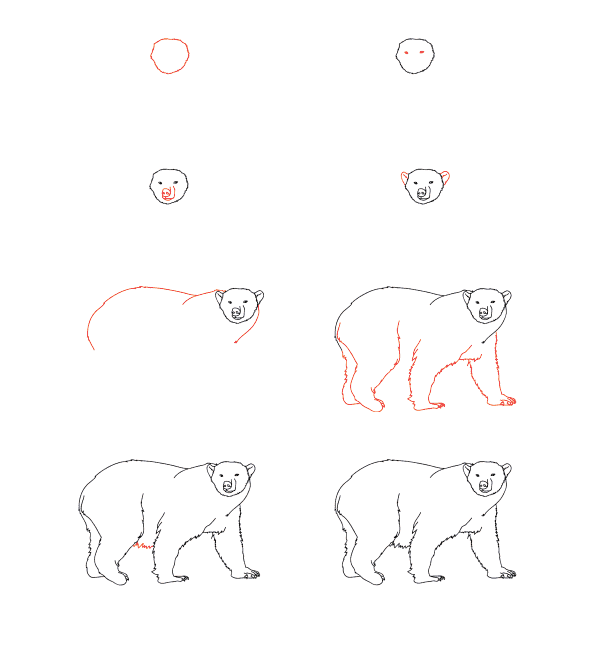 tutoriel sur l'ours polaire dessin