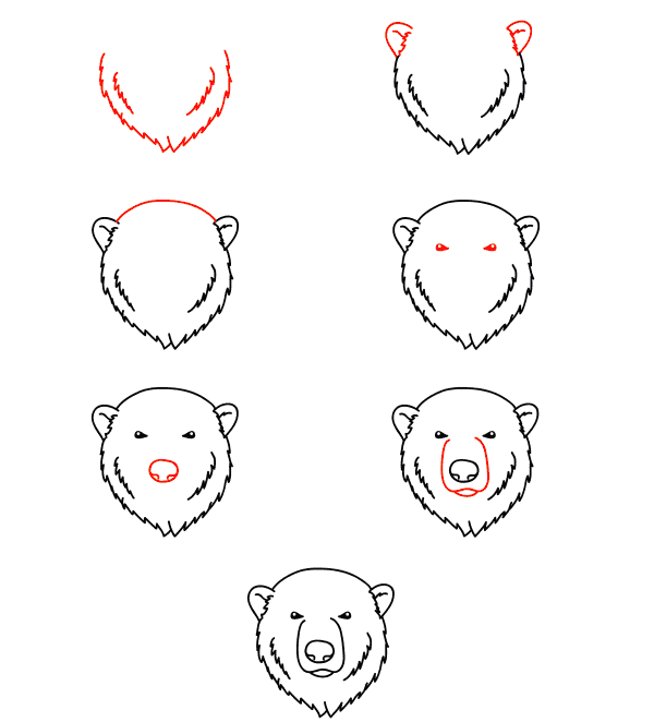 visage d'ours polaire dessin