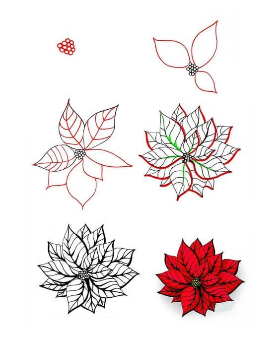 Idée de fleur de poinsettia (1) dessin