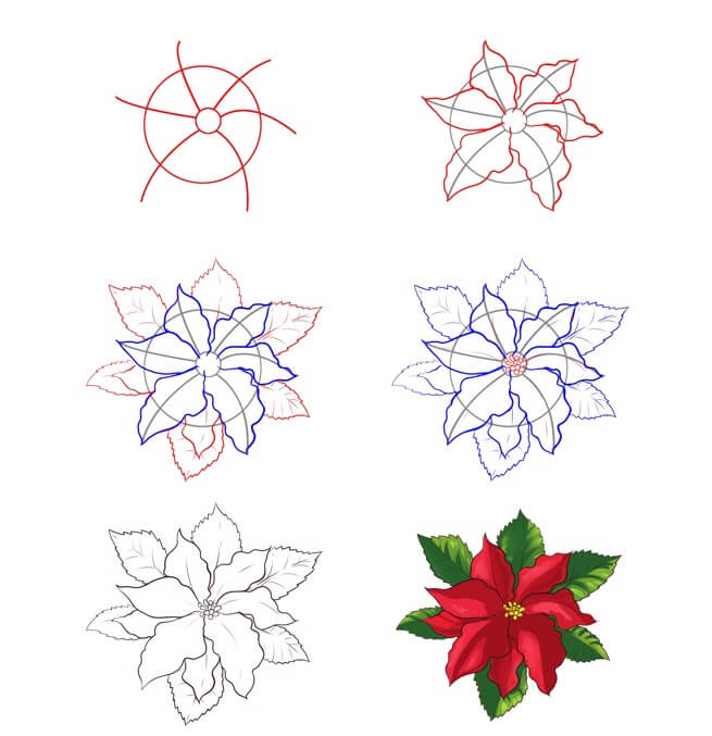 Idée de fleur de poinsettia (10) dessin