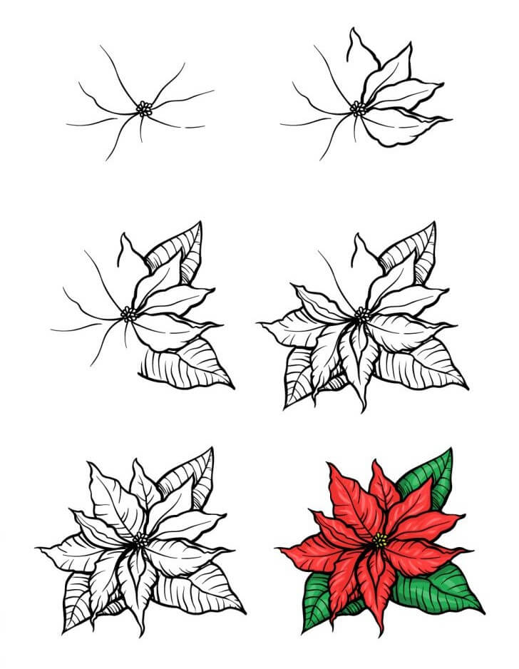 Idée de fleur de poinsettia (8) dessin