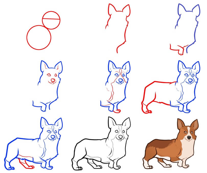 Idées de chiens Corgi (21) dessin