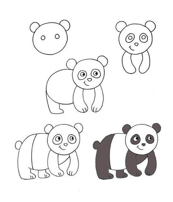 Panda bear idea (13) dessin