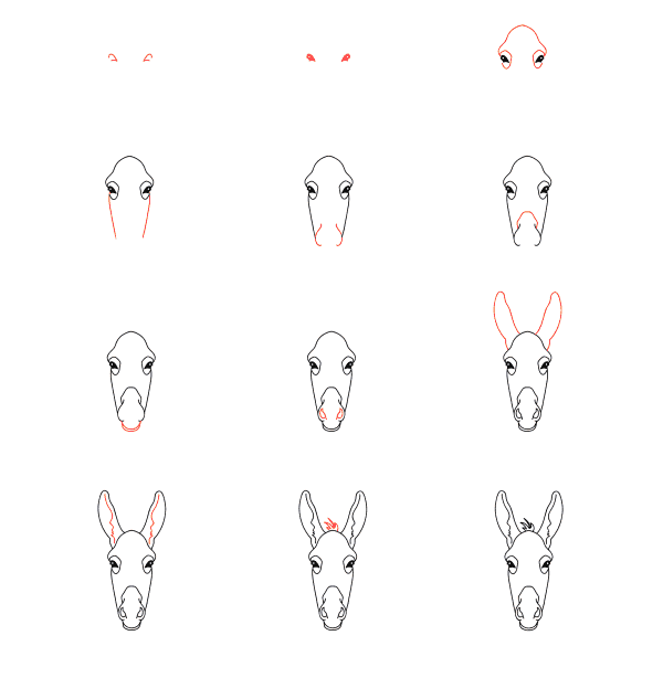 visage d'âne dessin