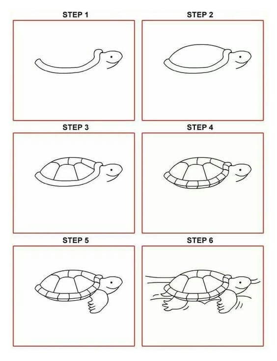 idée de tortue (13) dessin