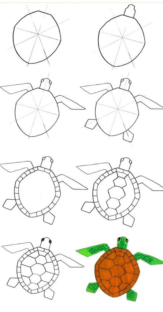 idée de tortue (16) dessin