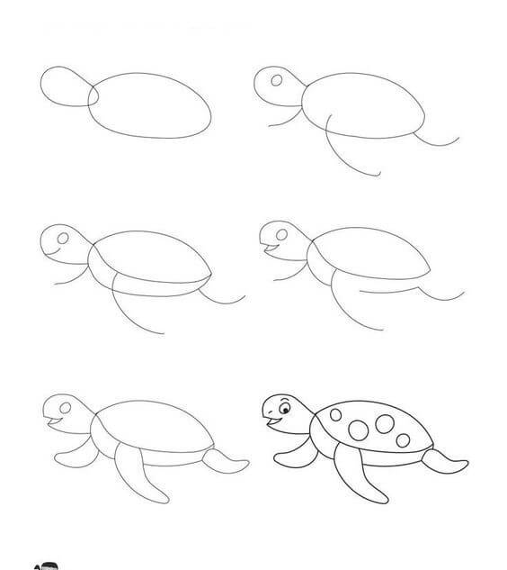 idée de tortue (17) dessin