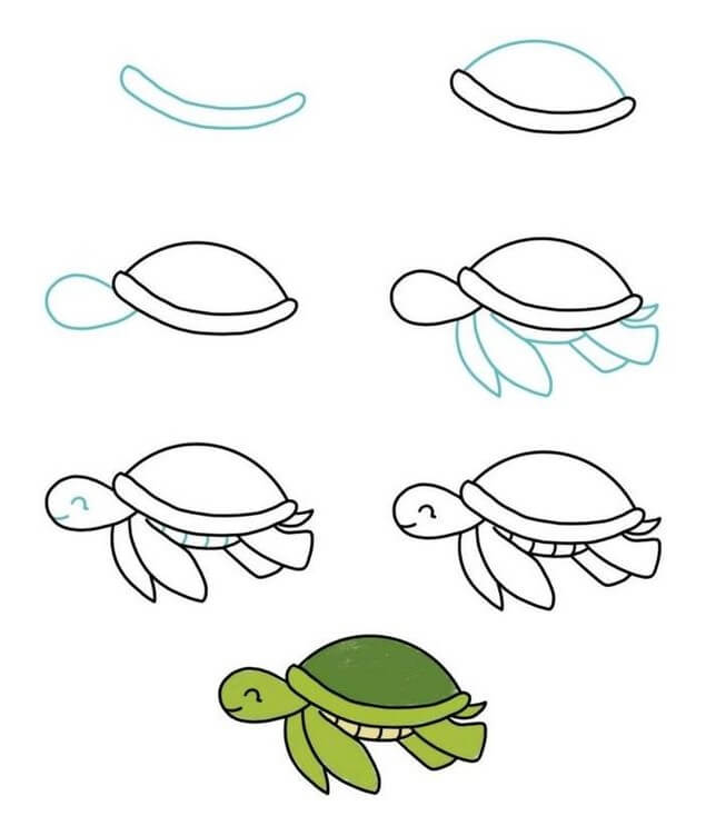 50+ Facile et mignon Idées de dessin Tortue - Comment dessiner Tortue