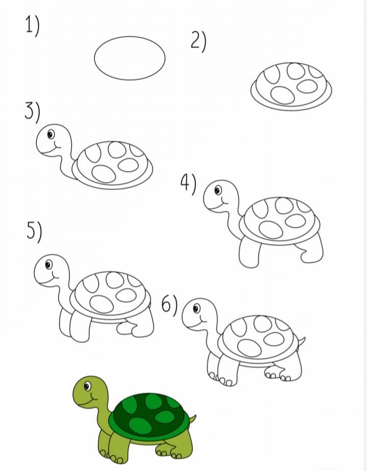 idée de tortue (25) dessin