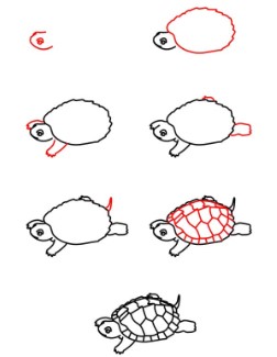 idée de tortue (4) dessin