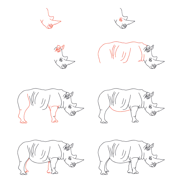 Rhinocéros réaliste dessin