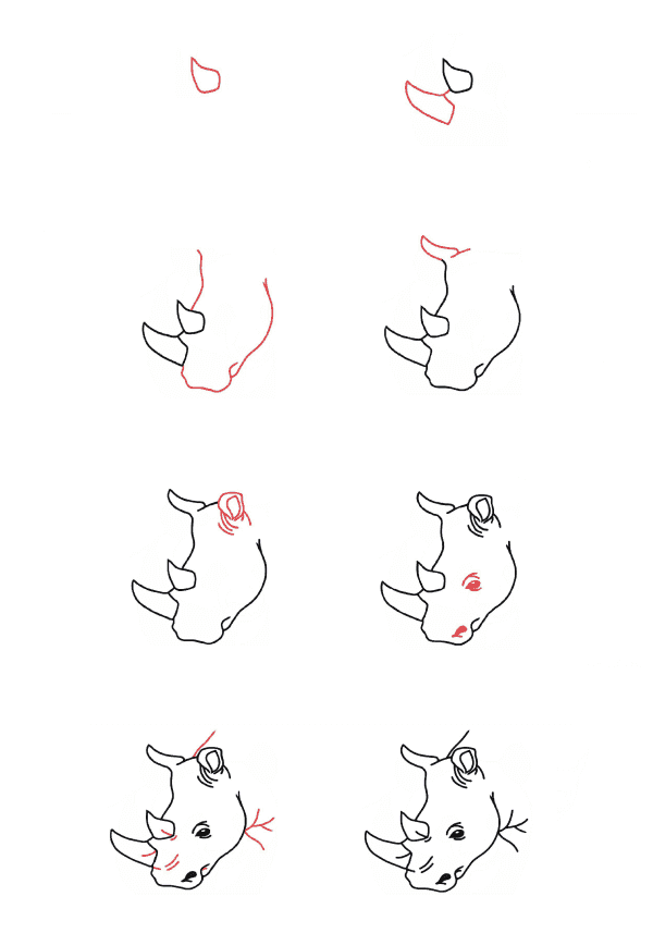 Tête de rhinocéros dessin