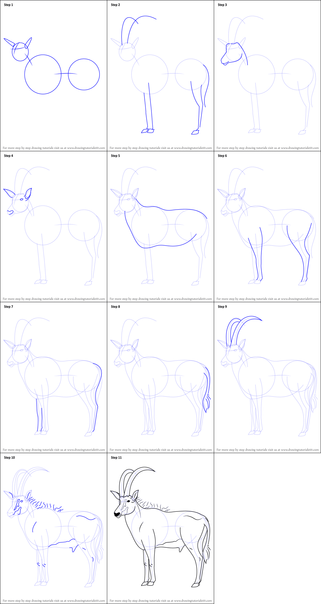 Antilope simple (3) dessin