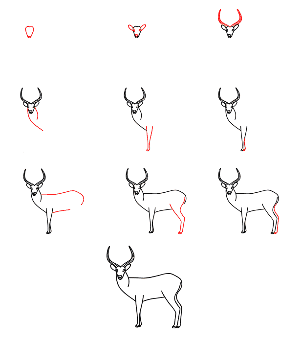 Antilope simple (4) dessin