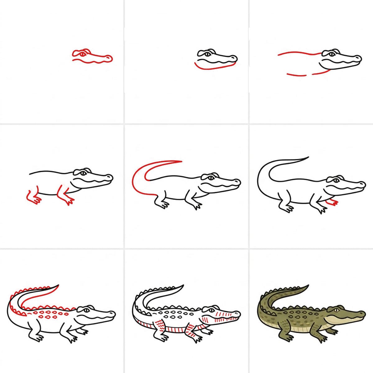 Crocodile chasseur dessin
