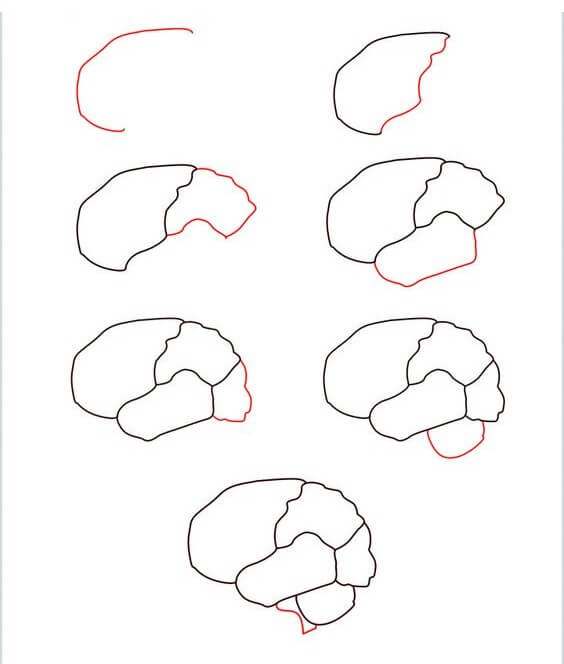 Idées cérébrales (2) dessin