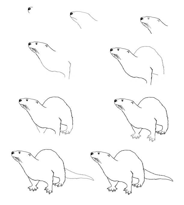 Idées de loutre (3) dessin