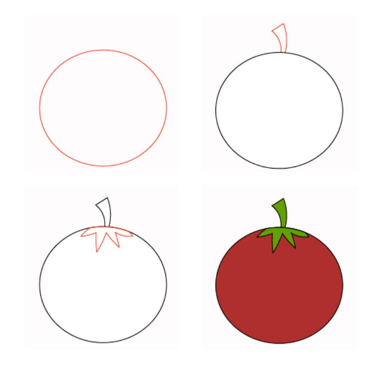 Tomate simple (1) dessin