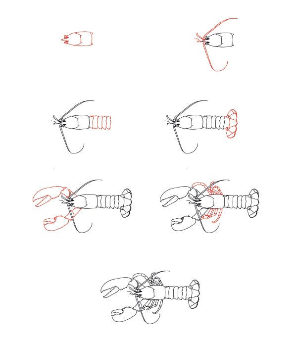 Homard réaliste dessin