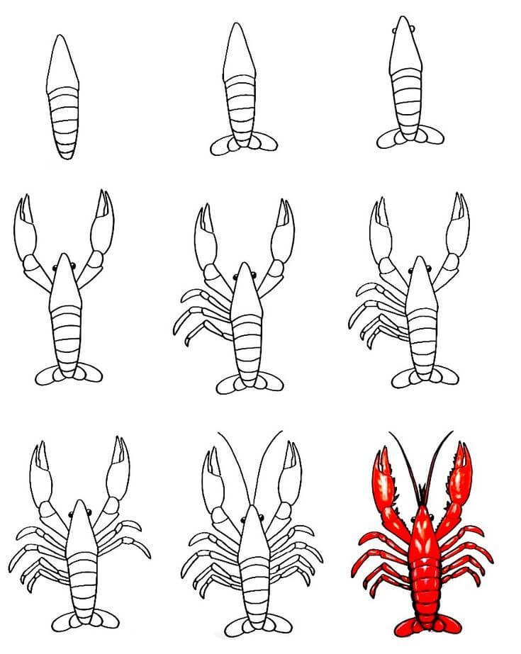 Idées de homard (12) dessin