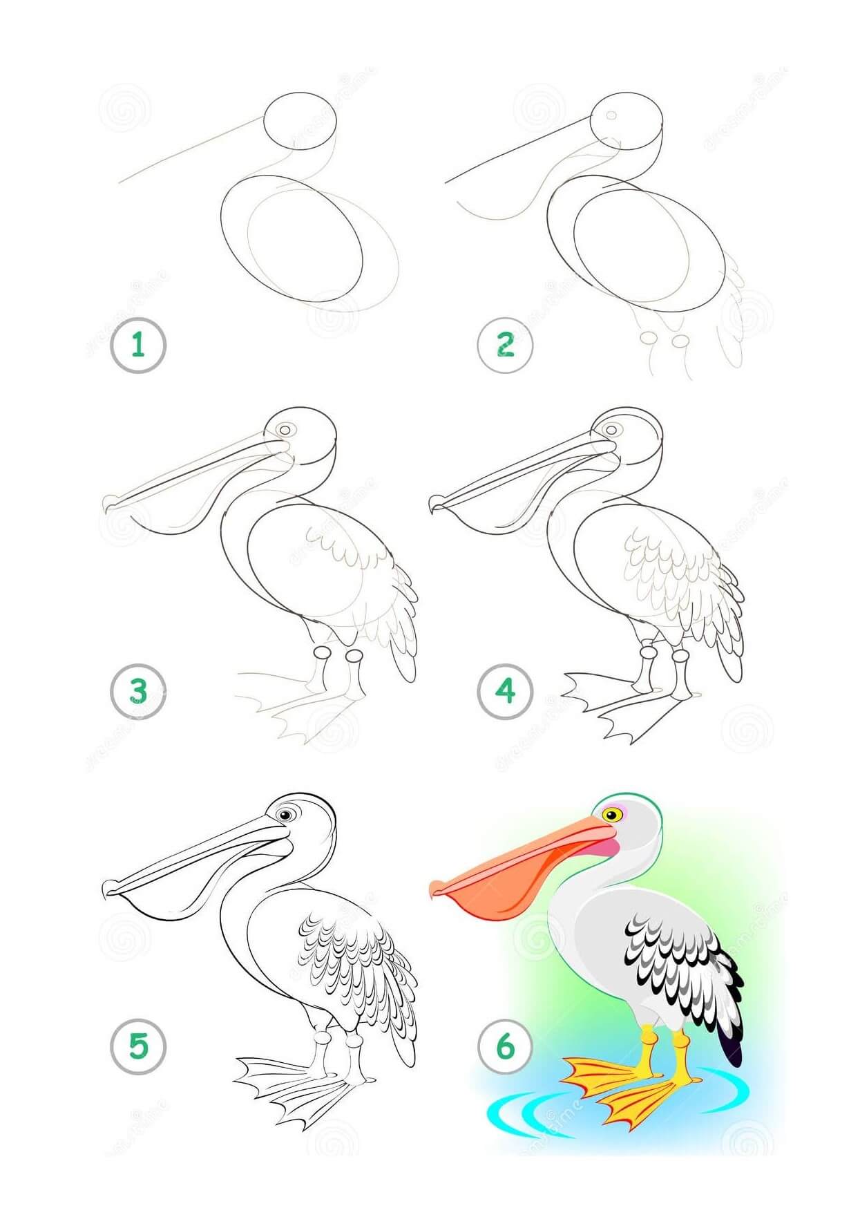 idées de pélican (4) dessin