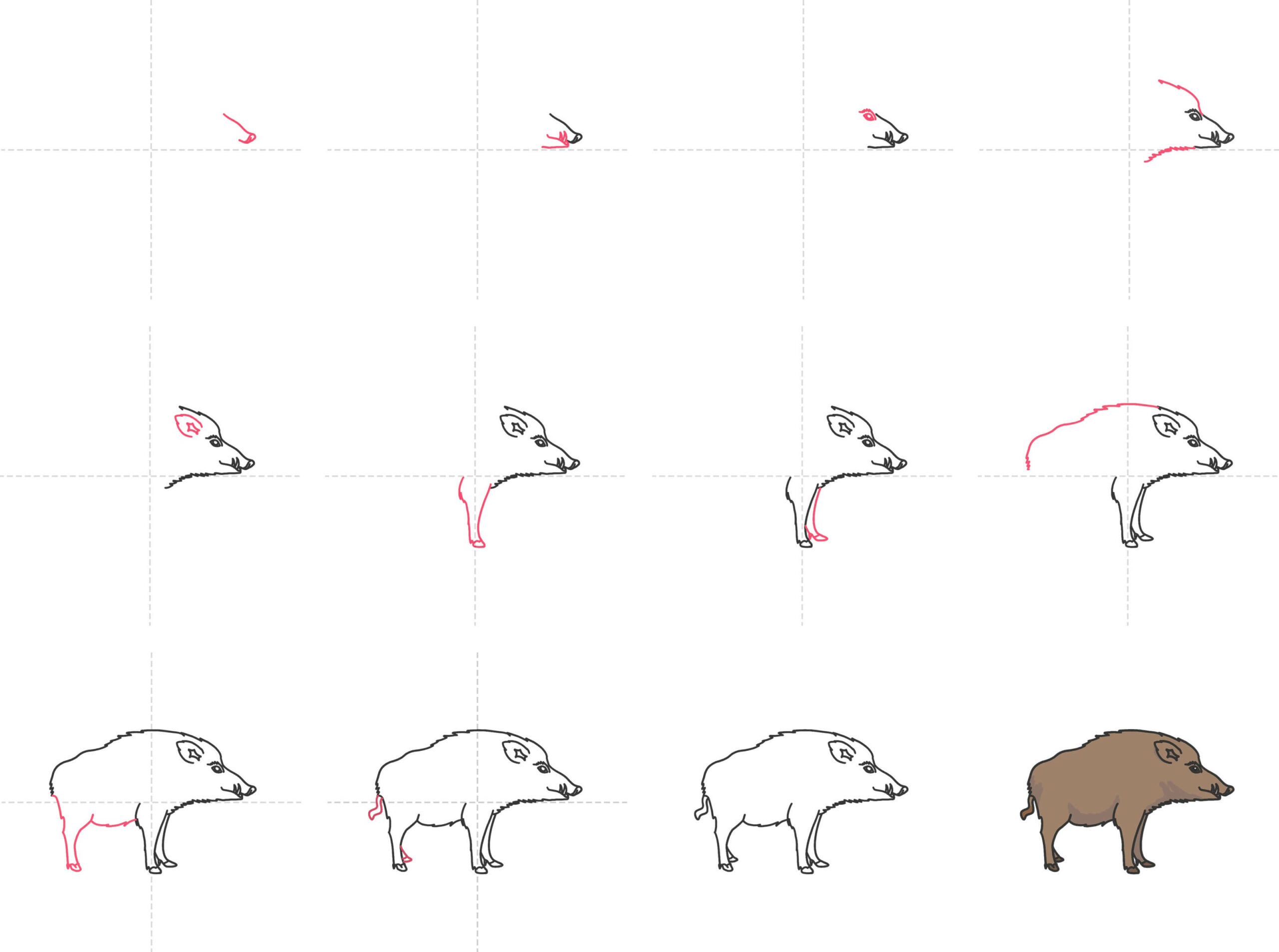 Idées de sanglier(3) dessin