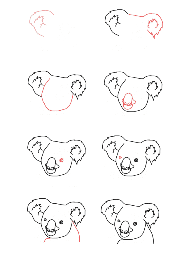 Tête de koala dessin