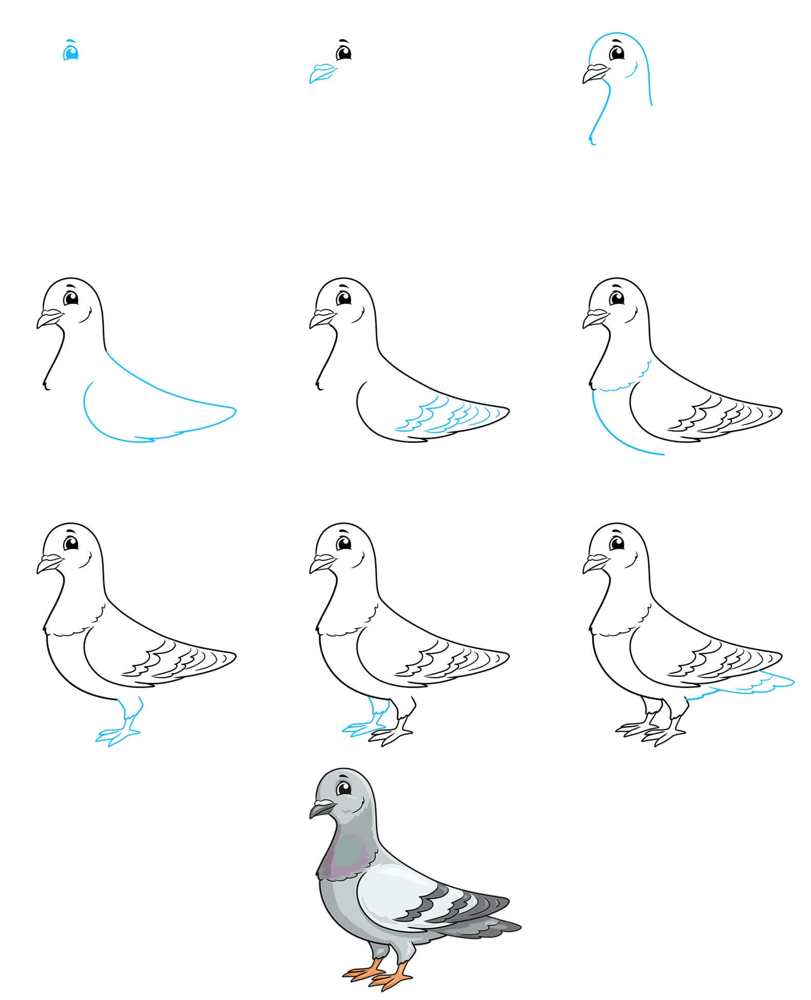 Idée Pigeon (1) dessin