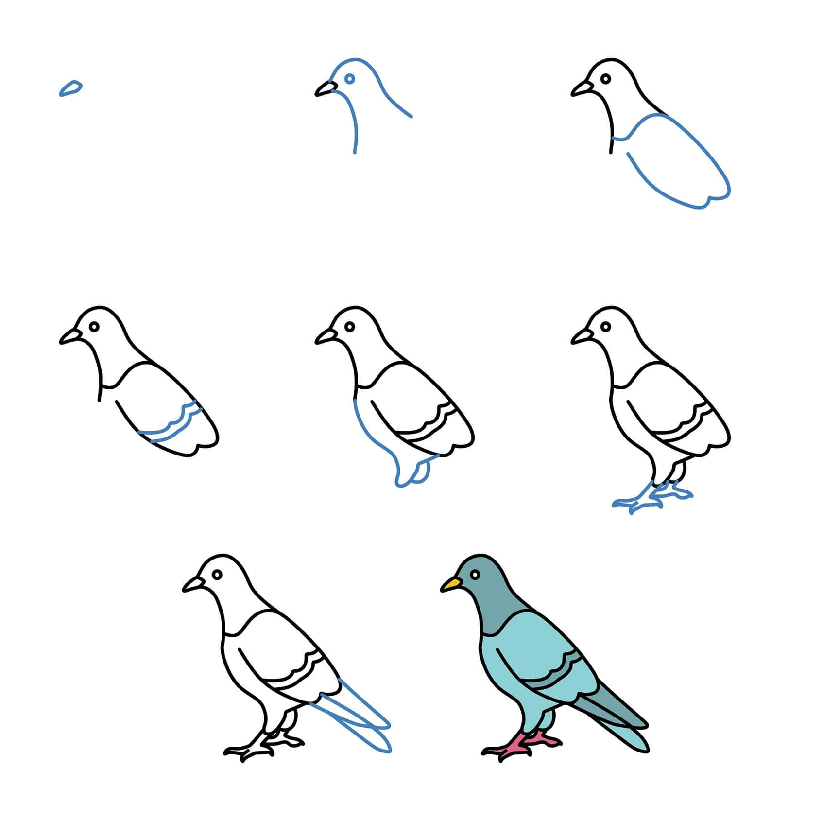 Idée Pigeon (11) dessin