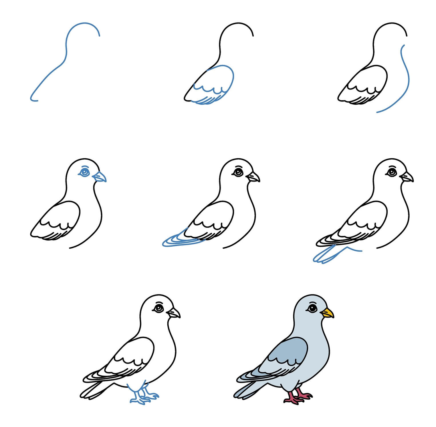 Idée Pigeon (15) dessin