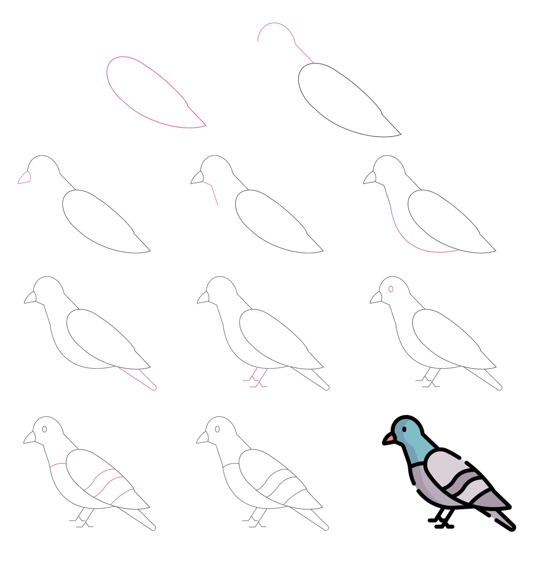 Idée Pigeon (4) dessin