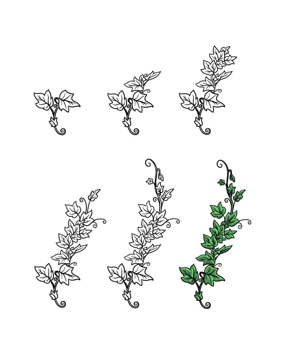 Idées de plantes grimpantes (12) dessin