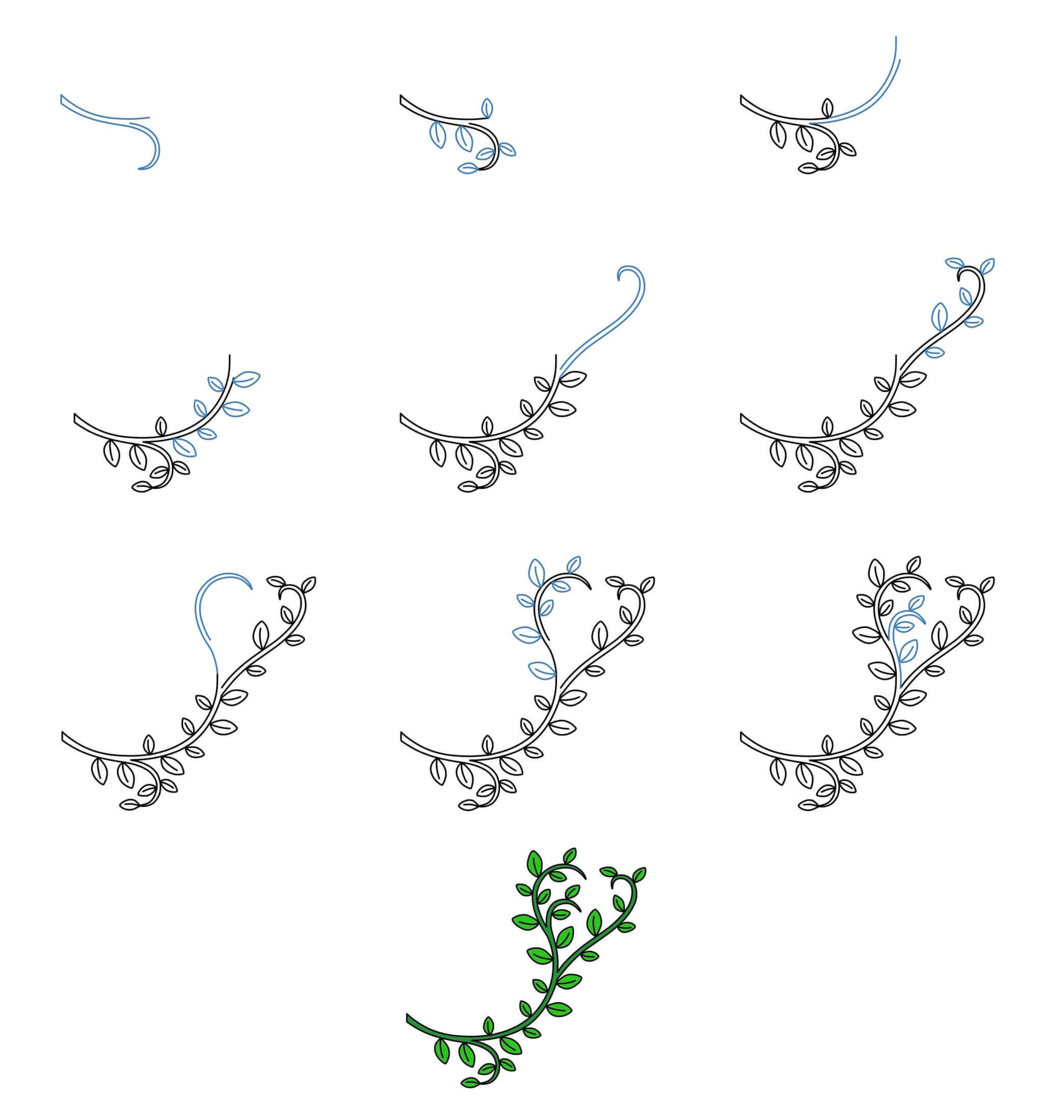 Idées de plantes grimpantes (5) dessin