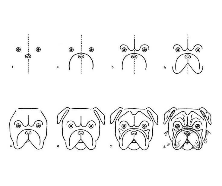 Visage de chien carlin (1) dessin