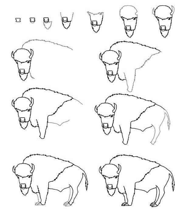 Idée bison (14) dessin