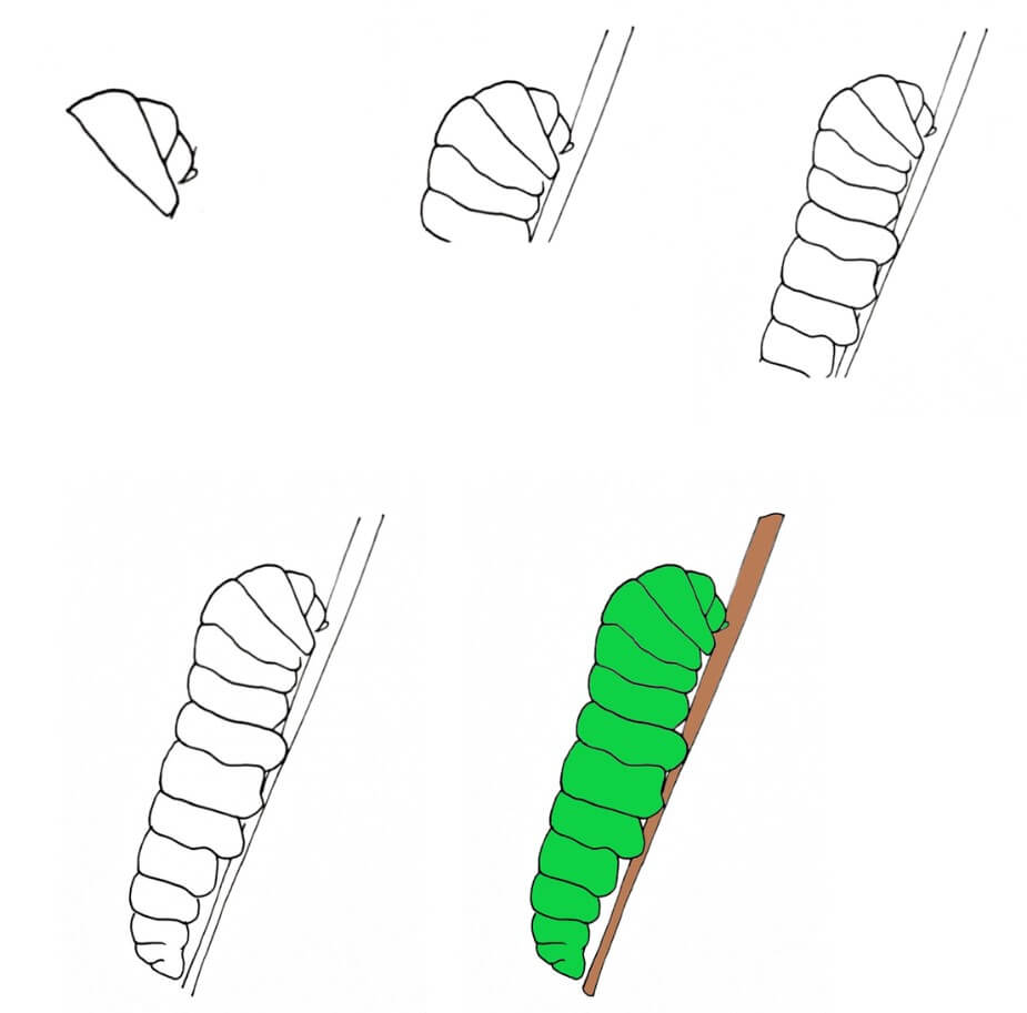 Idée chenille (5) dessin