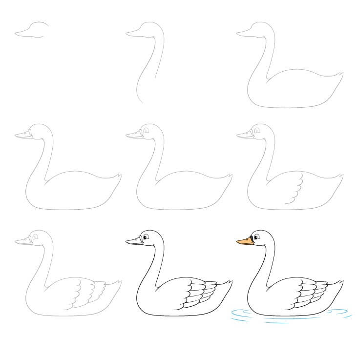 Idée cygne (14) dessin