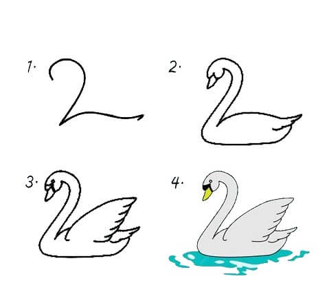 Idée cygne (2) dessin